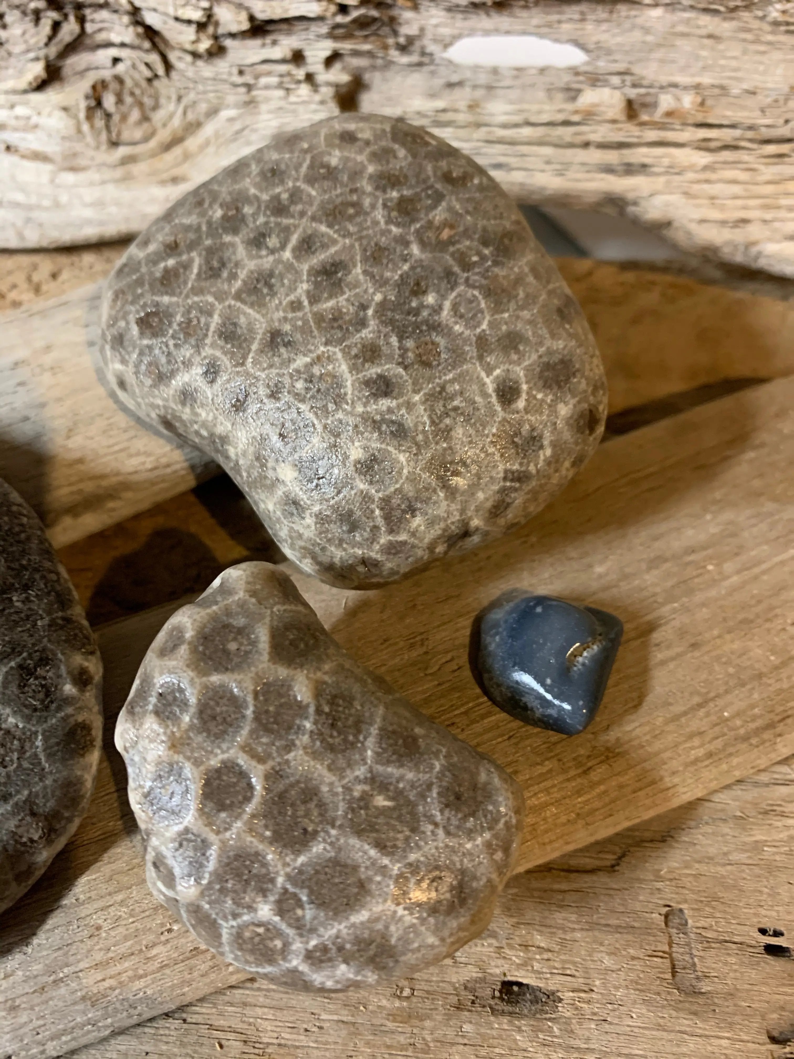 Set of 4 Rocks Petoskey & Leland Blue The Bearded Craftsman US