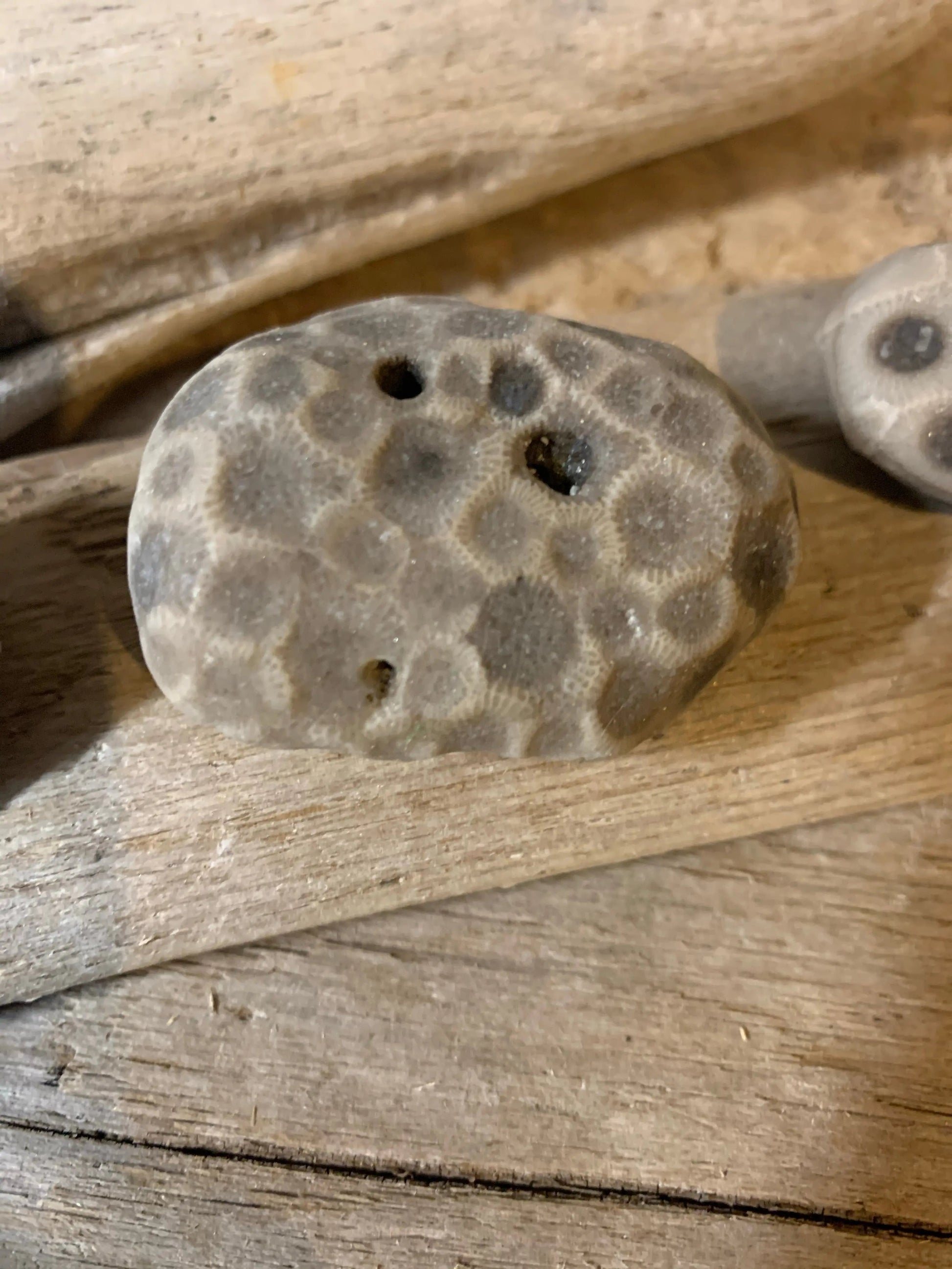 Set of 3 Petoskey Stones & Fossil Chain The Bearded Craftsman US