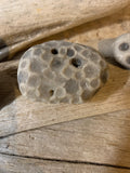 Set of 3 Petoskey Stones & Fossil Chain