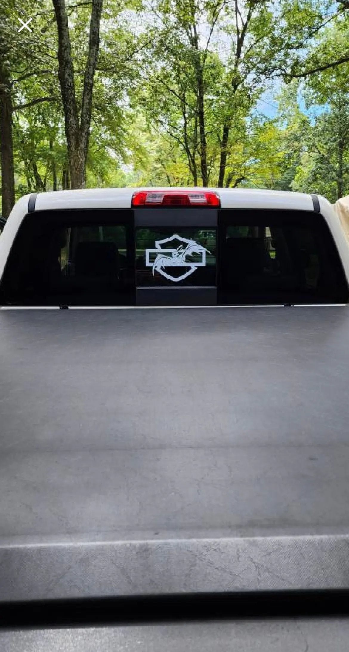 H-D CVO Bat Decal The Bearded Craftsman US