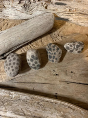 Set of 4 Petoskey Stones The Bearded Craftsman US