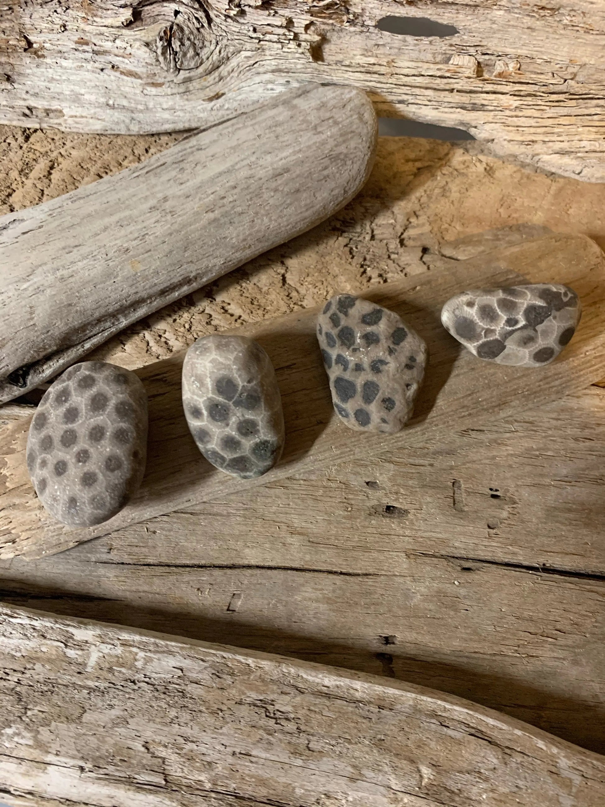 Set of 4 Petoskey Stones The Bearded Craftsman US