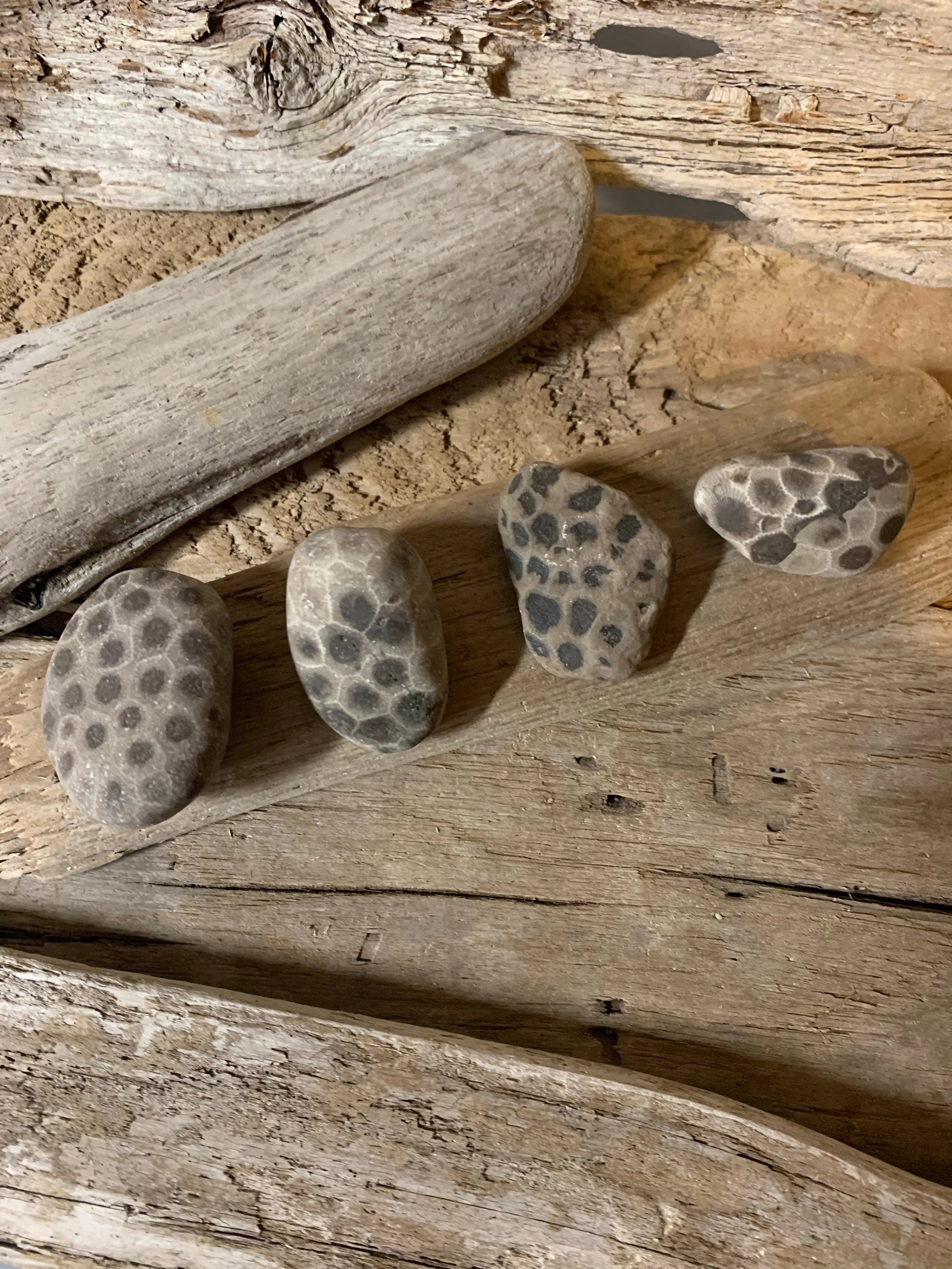 Set of 4 Petoskey Stones The Bearded Craftsman US