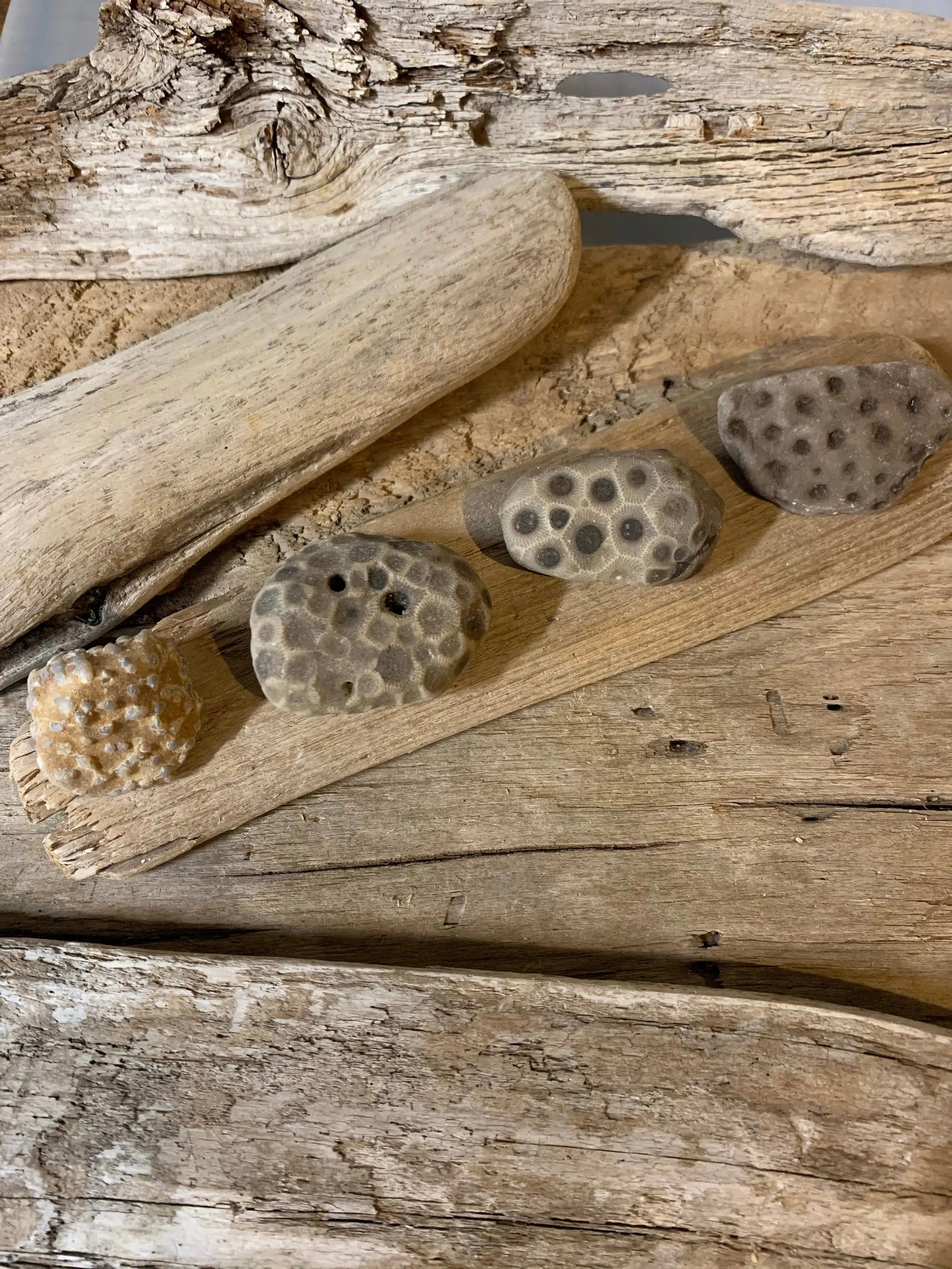 Set of 3 Petoskey Stones & Fossil Chain The Bearded Craftsman US