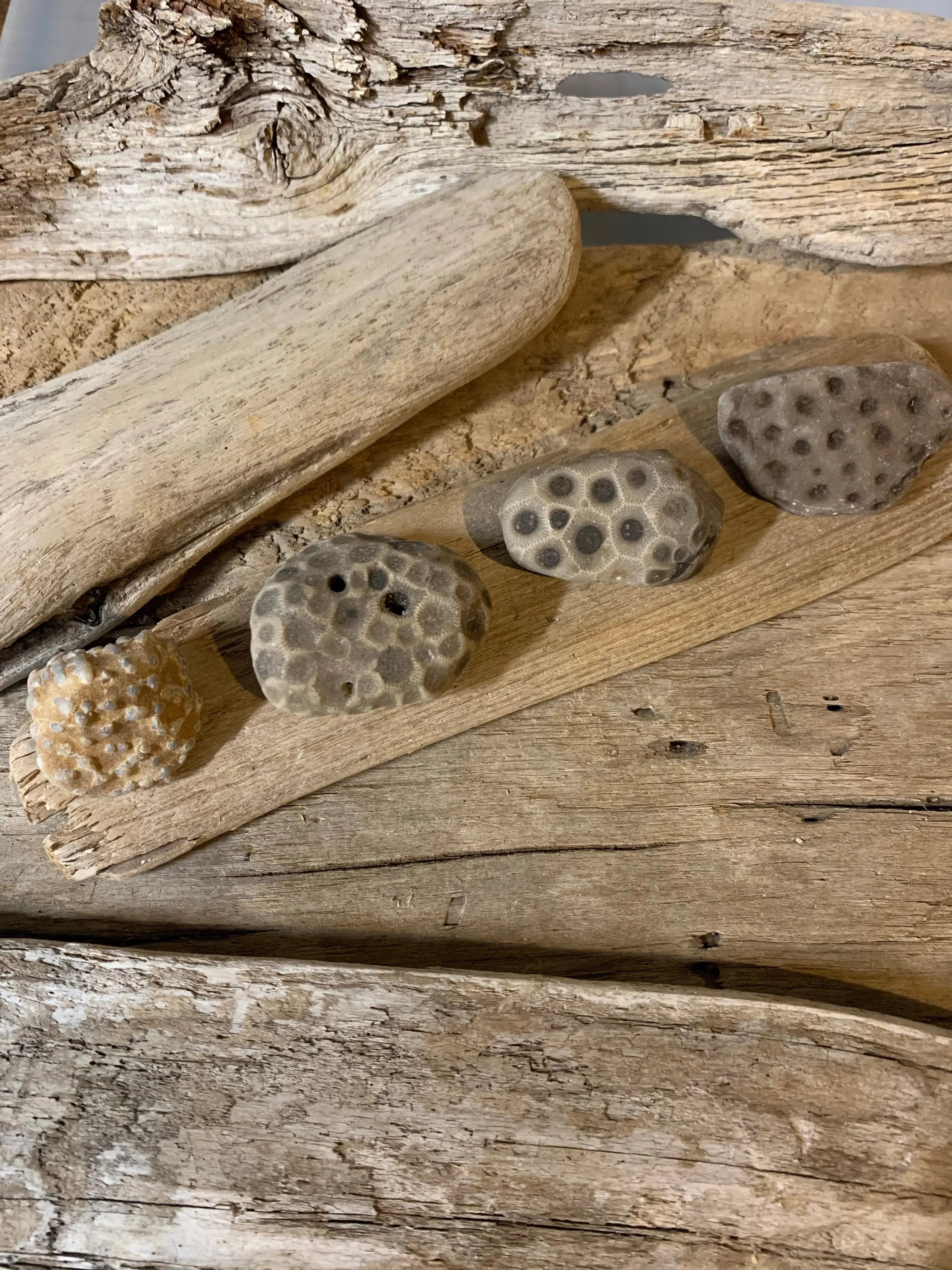 Set of 3 Petoskey Stones & Fossil Chain The Bearded Craftsman US